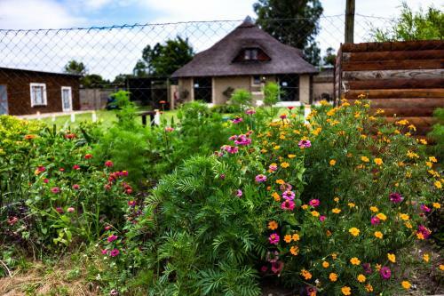Albergue Inyameko Bnb