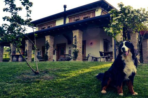 Agroturismo Pietra Cavalla - Ranch & Resort