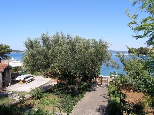 Apartment Iva-1