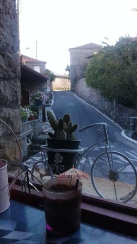 Hostal Guesthouse Electra And Jean Xceron