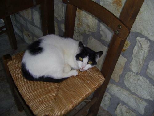Hostal Guesthouse Kastania