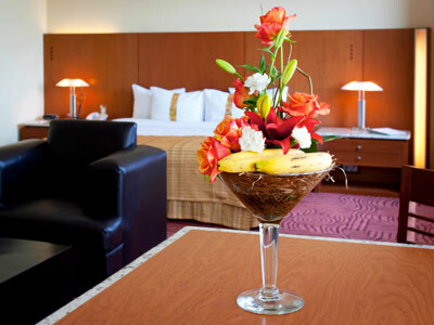 Hotel Holiday Inn Puebla Finsa