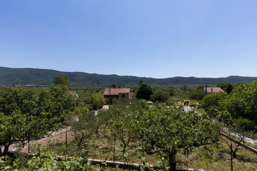 Apartment Laurel Leaf