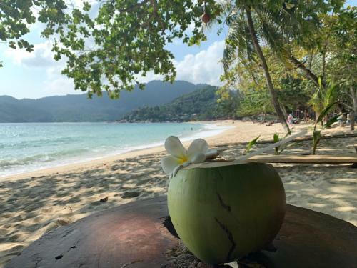 Hotel Thongtapan Resort