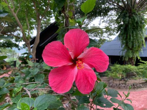 Hotel Thongtapan Resort