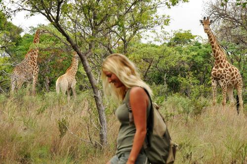 Lodge Shakati Private Game Reserve