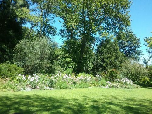 Hostal Languedoc