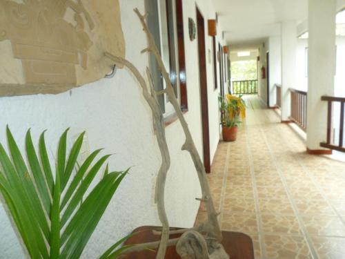 Hotel Xibalba