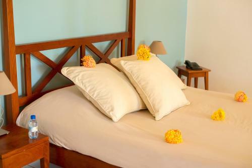 Hotel Casa Del Papa Resort & Spa