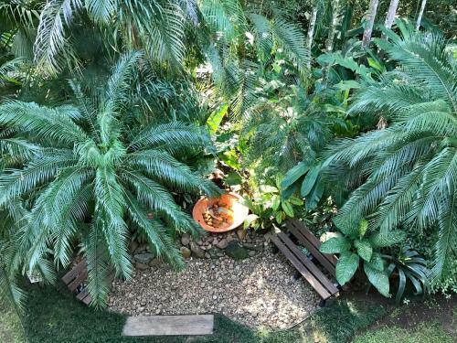 Apartamento Flat Amarilis Riviera de Sao Lourenco Sp