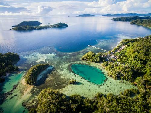 Hotel Raja Ampat Biodiversity Nature Resort