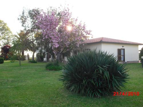 Apartamento Appartamenti Podere 13