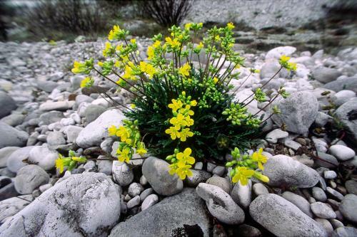 Agroturismo Agriturismo Quinta Della Luna