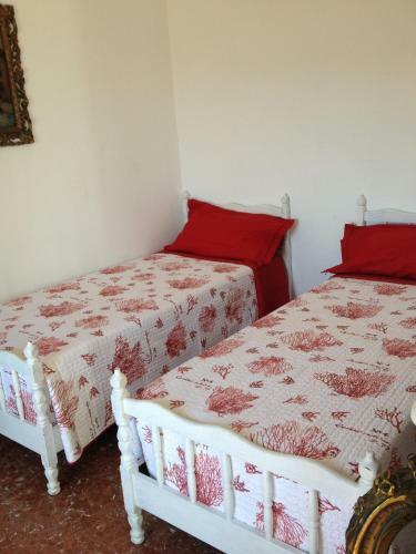 Agroturismo Agriturismo Oliva Azzurra
