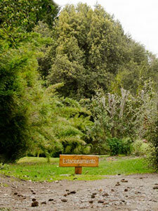 Lodge Tillka - Casas de Monta�a