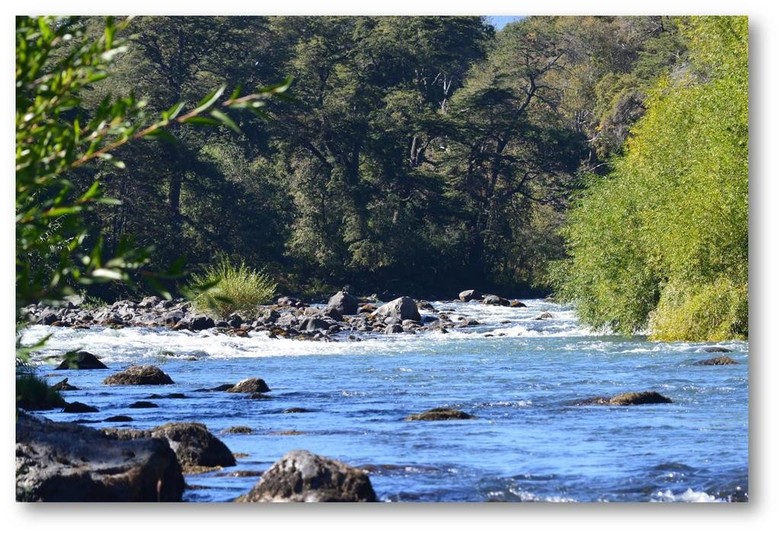 Lodge Tierra Escondida Caba�as Pucon