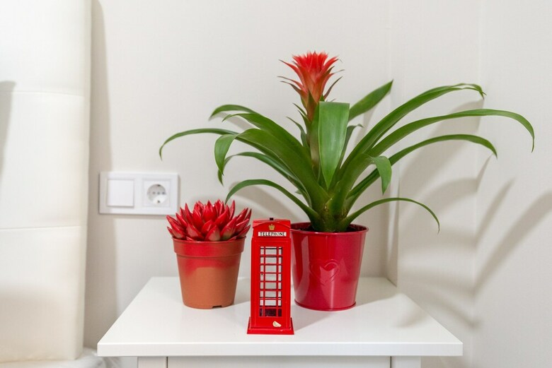 Olletas Apartment