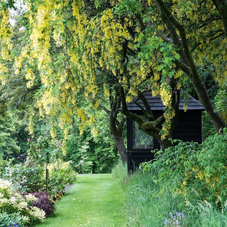 Bed & Breakfast West Plean House