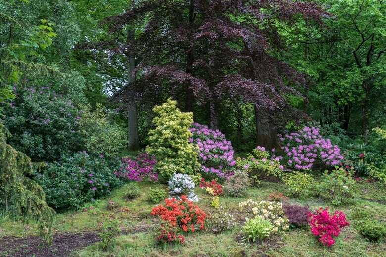 Bed & Breakfast West Plean House