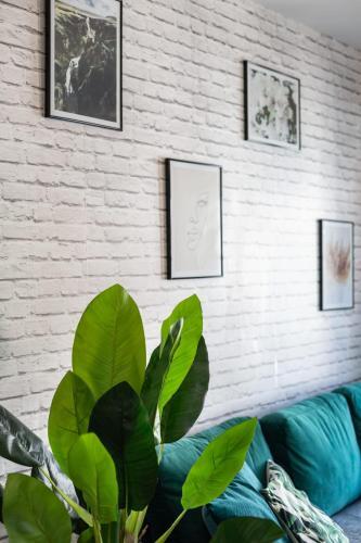 Vert D'hotes - Charming Renovated Apartment - Downtown - Wifi -