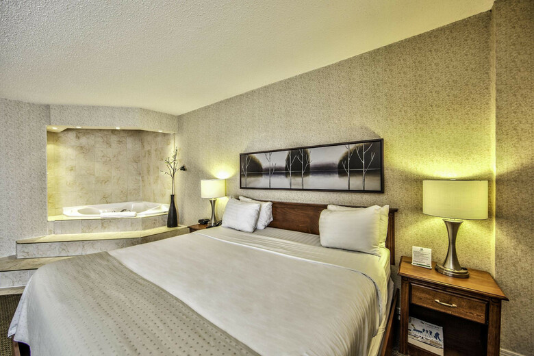 Hotel Holiday Inn Montreal Airport