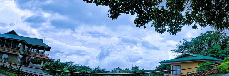 Hotel Ficus Sunset Suites