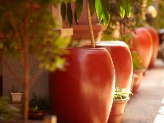 Neth Socheata Hotel