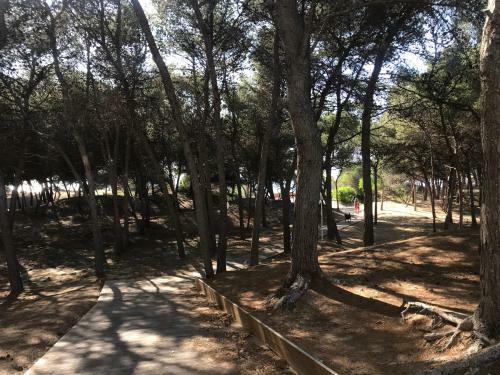 Apartamento Appartamento Sulla Spiaggia
