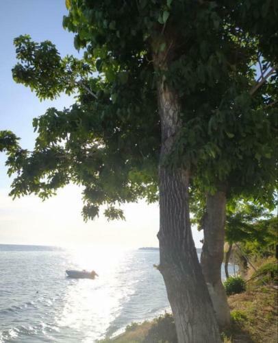 Popi' S Apartment 50 Metres From The Sea!