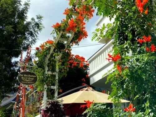 Hostal Ph? Hoa Villa Boutique & Homestay