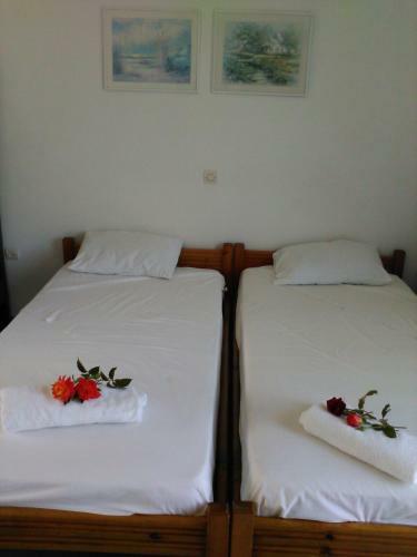 Apartamento Pantelatos Studios