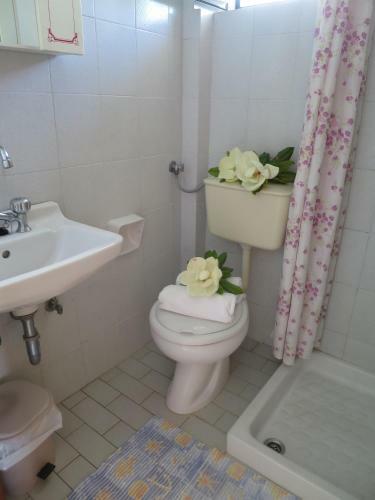 Apartamento Pantelatos Studios