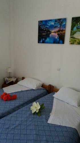 Apartamento Pantelatos Studios