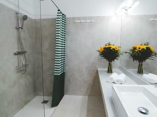 Apartamento Loft, Capitan Segarra