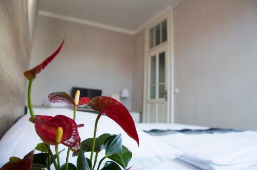 Apartamentos Designer Loft At Stodoln� Street