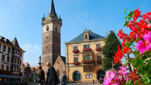 Apartamentos Terredhelene Gite Et Chambre D'hote