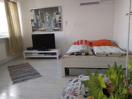 Apartament Jasny Noclegi P?ock