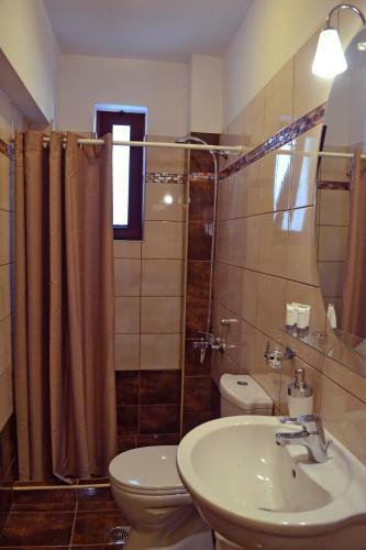 Hotel Anesis