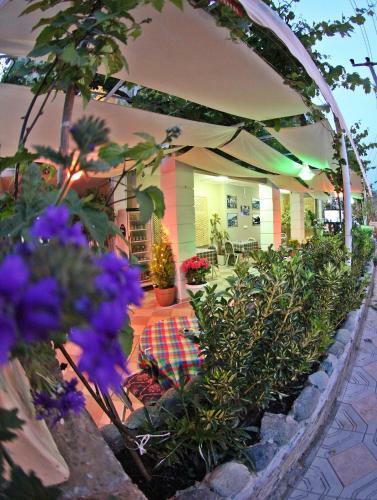 Hotel Dost