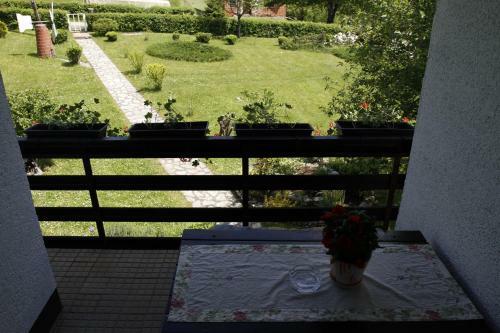 Hostal Guest House Jandric