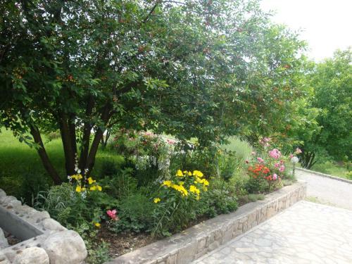 Hostal Guest House Jandric