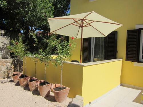 Apartments Dolac