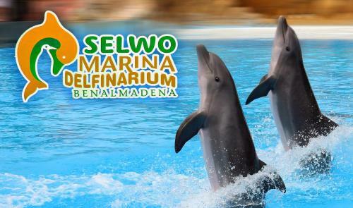 Apartamento Acuario