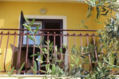 Apartments & Room Anita