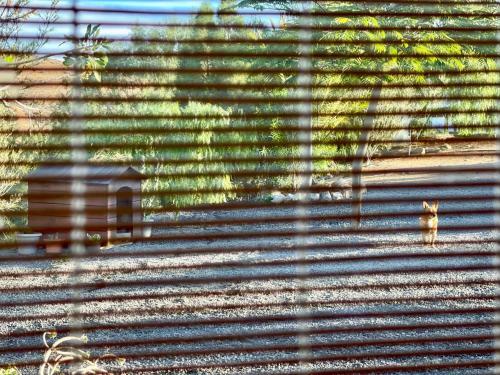 Apartamento La Casita Del Mojino