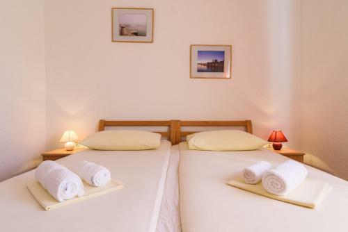 Apartments Neve