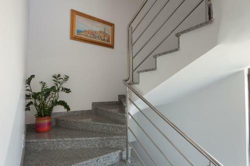 Hostal Apartments Alice