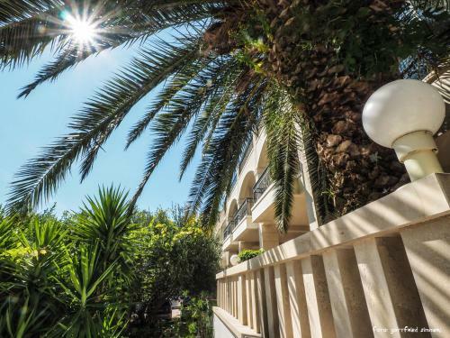 Bed & Breakfast Villa Petra