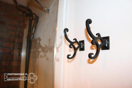 Dyby Toru?skie Apartament 8