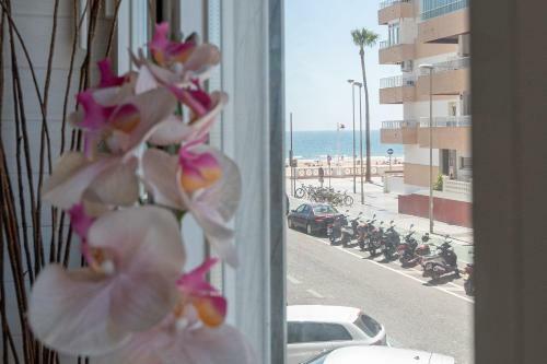 Apartamento Sirenas - Cadiz